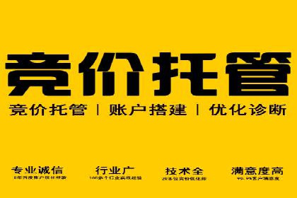 竞价SEM托管策略：企业广告投放的新趋势